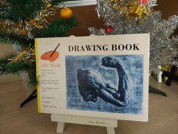 Zeichnungs-Buch-Art Größe des Künstler-Farben-Auflagen-Schwergewichts- Zeichenpapier-A3 A4